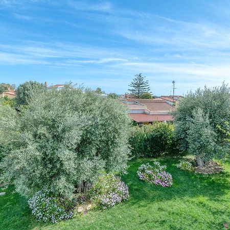 La Casa Degli Ulivi Appartamento In Villa Con Patio 夸尔图-圣埃莱娜 外观 照片